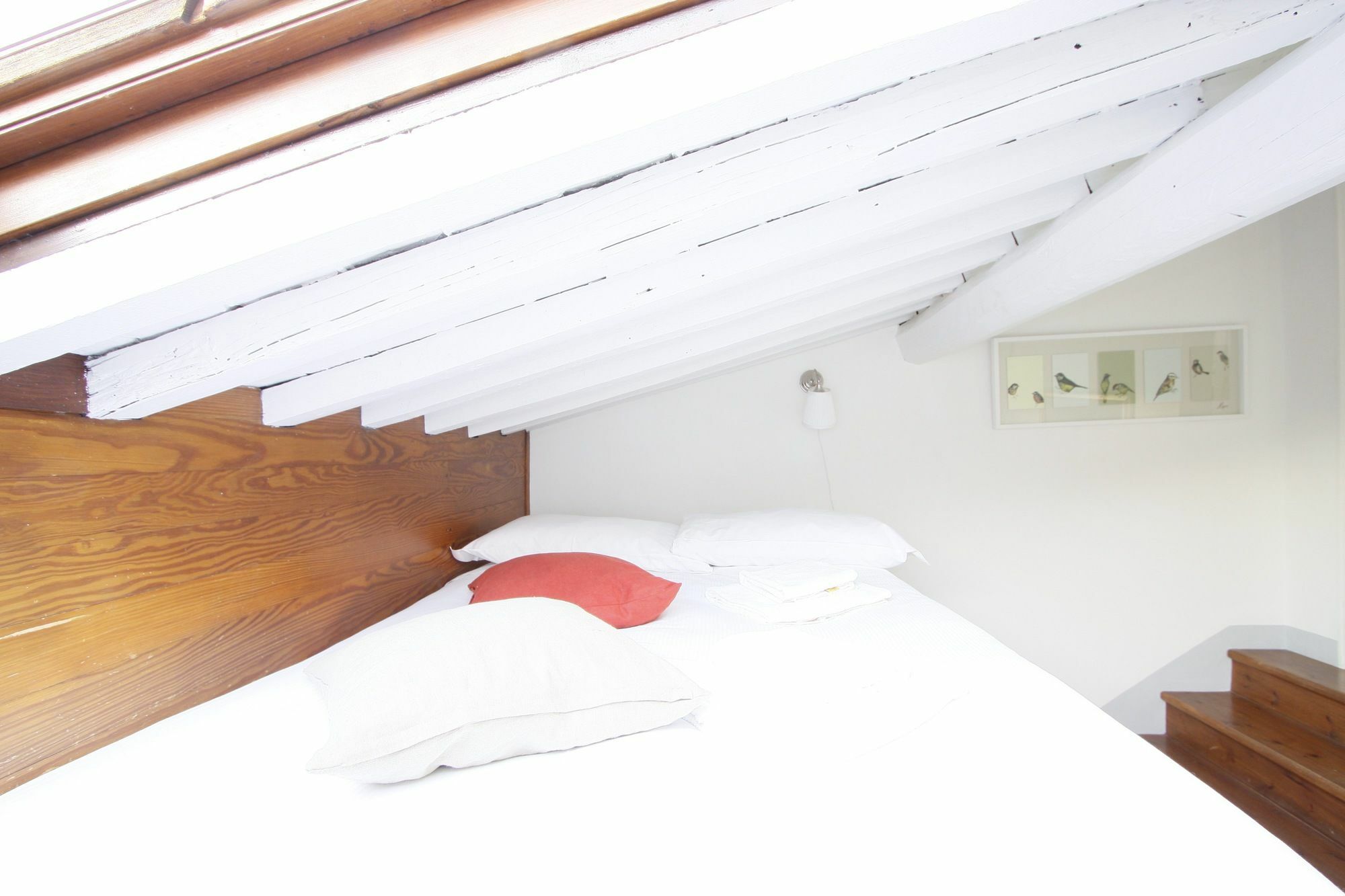 Under The Dome Apartment ฟลอเรนซ์ ภายนอก รูปภาพ